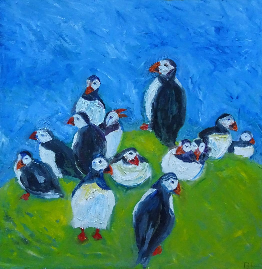 IJsland papegaaiduikers