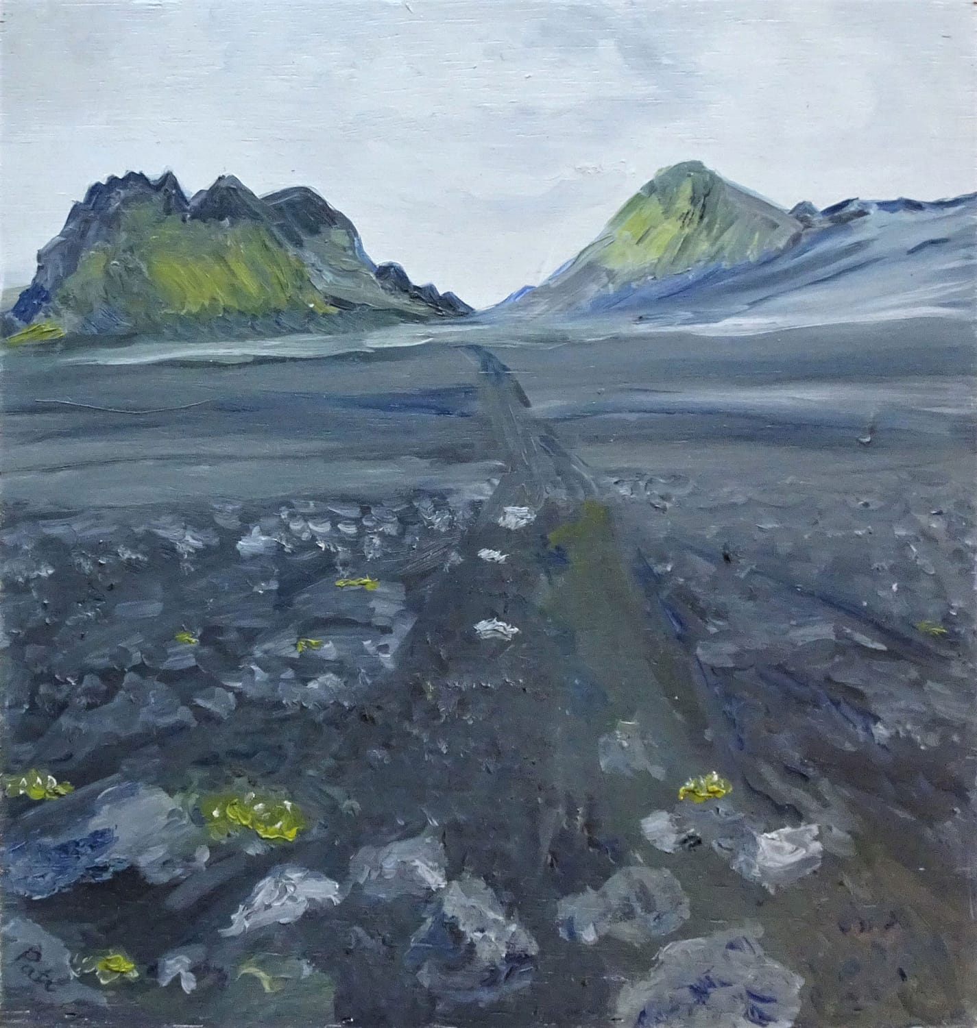 IJsland-Laugavegur