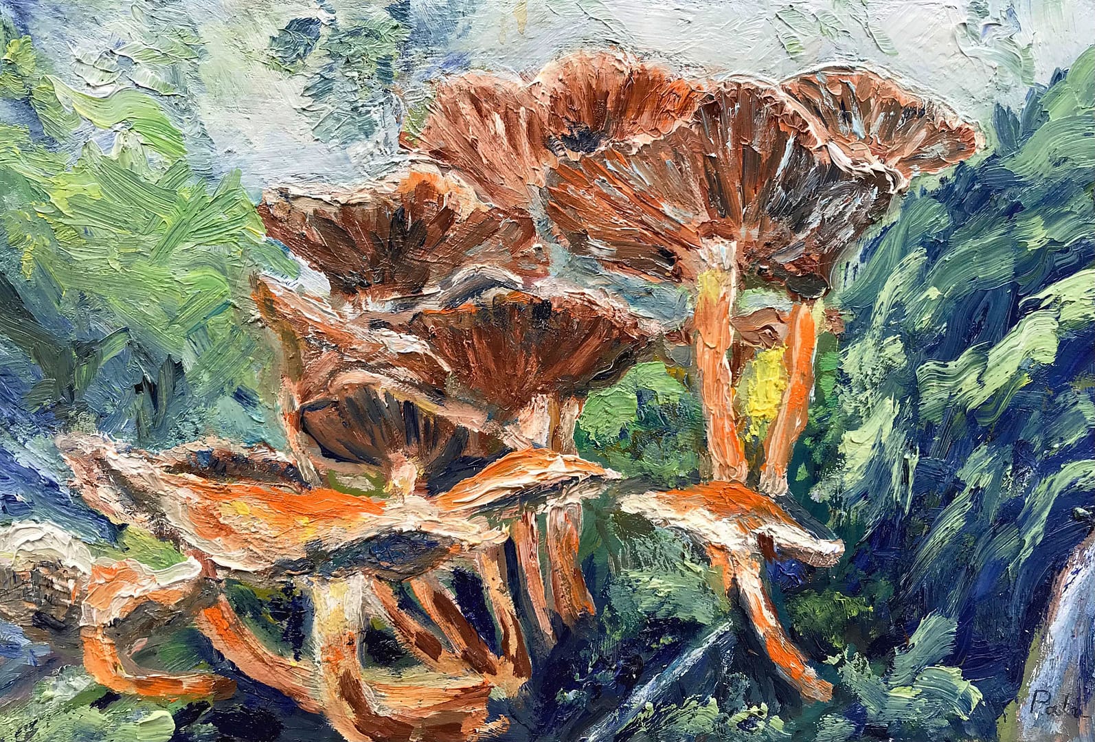 Herfstkleuren