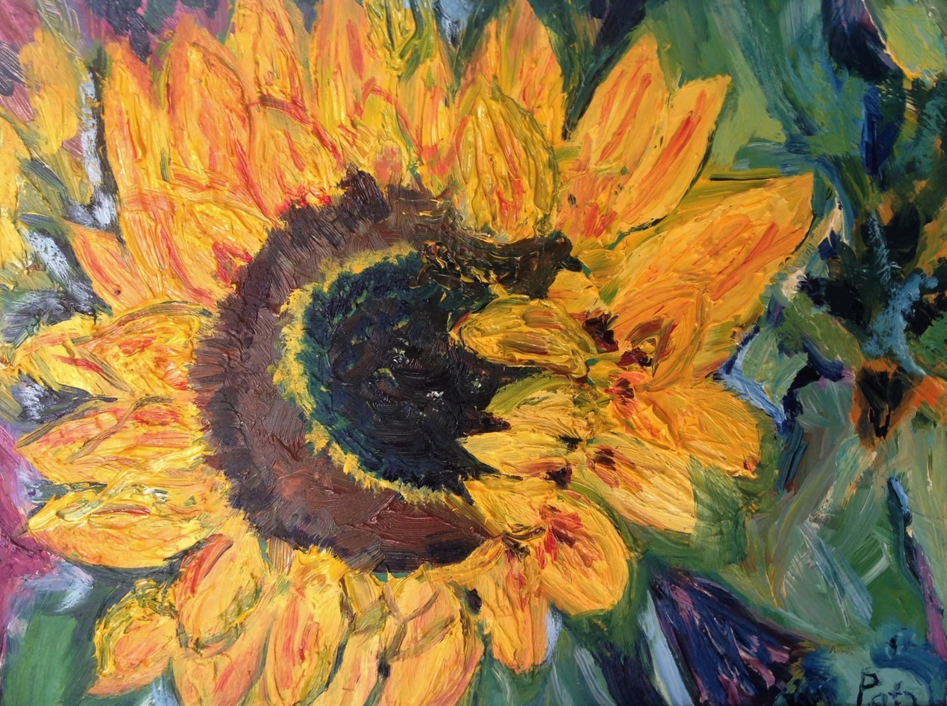 zonnebloem