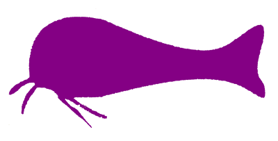 meerval