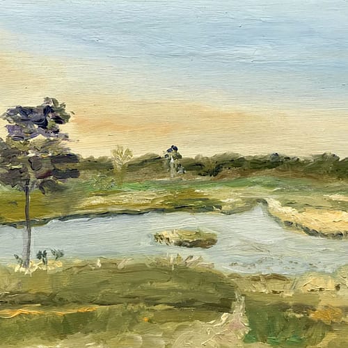 hatertse vennen nijmegen
