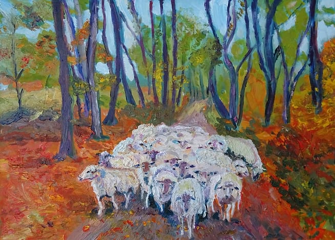 Heumensoord Schapen onderweg